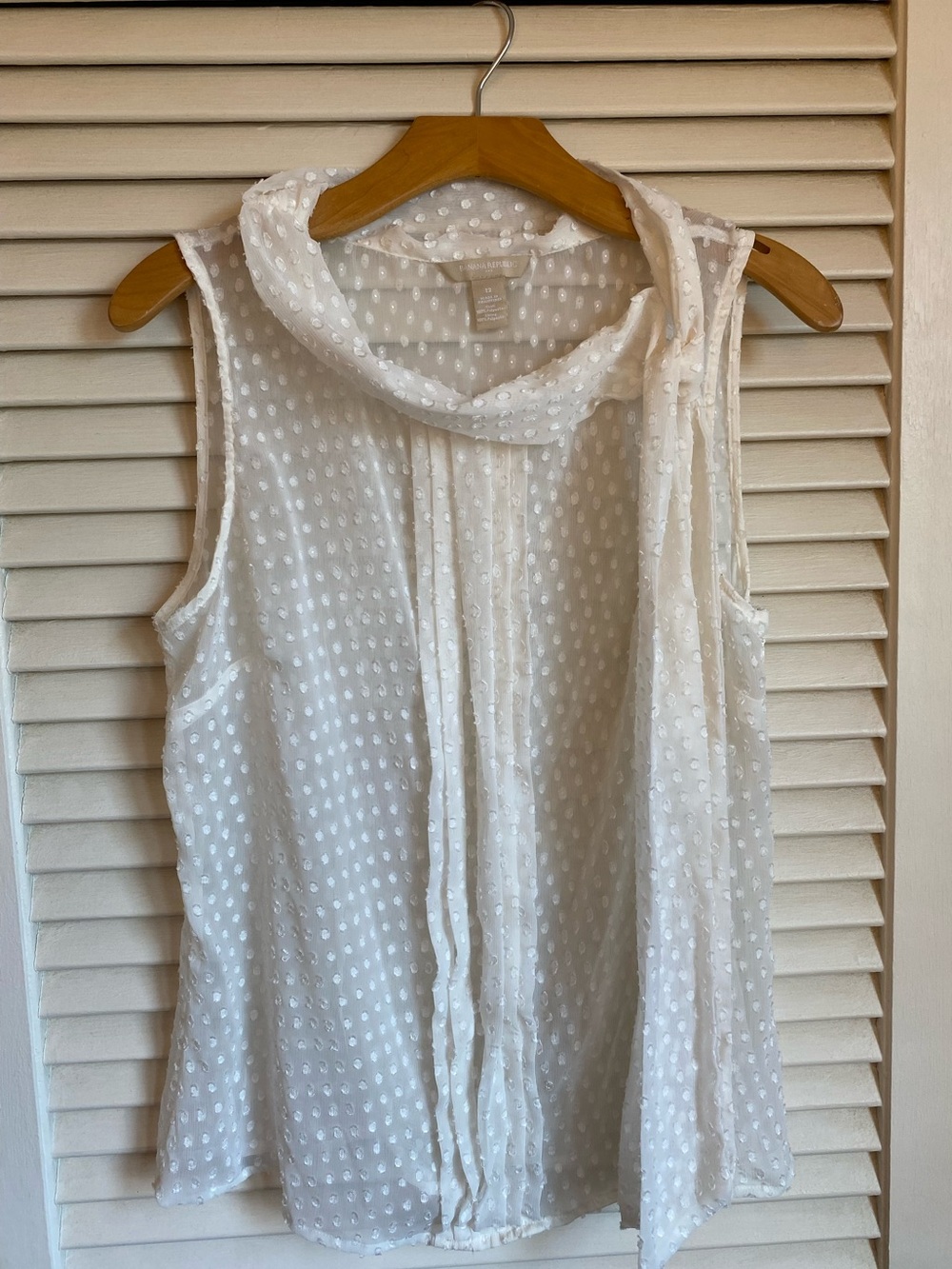Banana Republic Sheer Sleeveless Blouse
